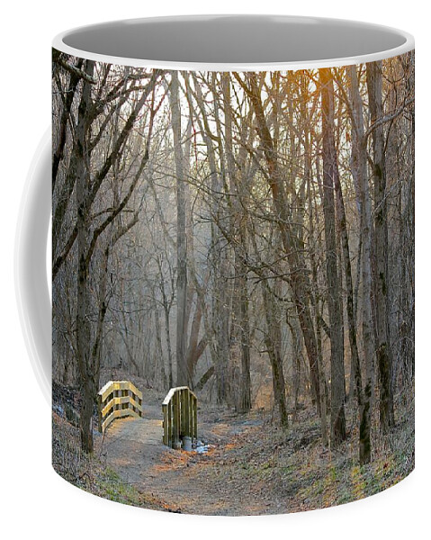Color Coffee Mug featuring the photograph Foot Bridge by Nunweiler Photography