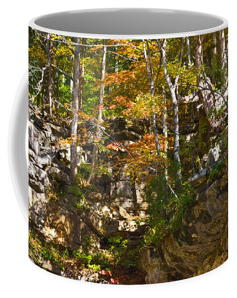 Branches Coffee Mug featuring the photograph Forest Above the Cave by Ed Gleichman