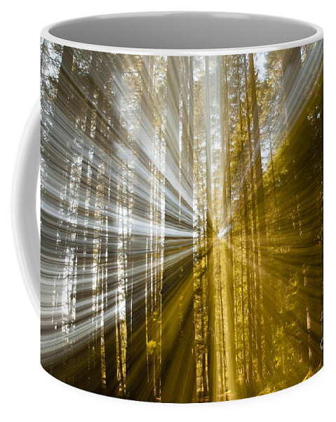 Forest Coffee Mug featuring the photograph Forest Abstract by Vivian Christopher