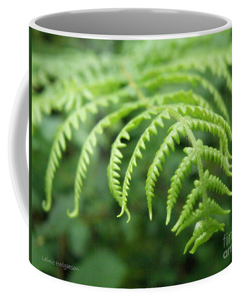 Fern Coffee Mug featuring the photograph Forest Fern by Lainie Wrightson