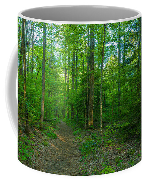Photography Coffee Mug featuring the photograph Forest, Great Smoky Mountains National by Panoramic Images