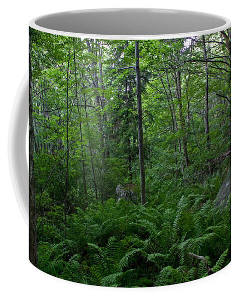 Landscape Coffee Mug featuring the photograph Forest Green by Greg DeBeck