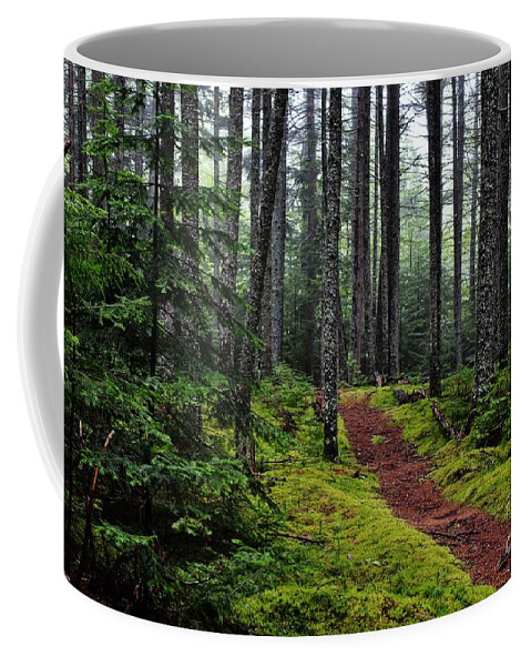 Woods Coffee Mug featuring the photograph Forest by Karin Pinkham