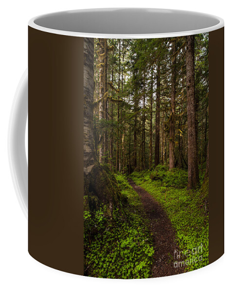 Northwest Coffee Mug featuring the photograph Forest Serenity Path by Mike Reid