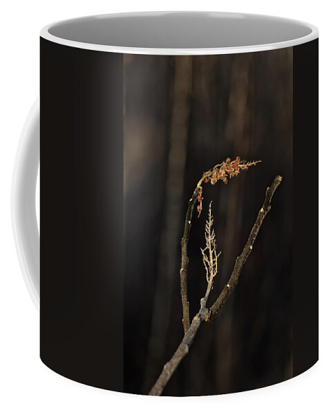 Staghorn Sumac Coffee Mug featuring the photograph Forest Song by Sue Capuano