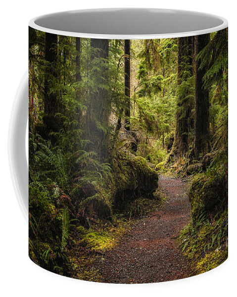 Nature Coffee Mug featuring the photograph Forest Walk by Jennifer Magallon