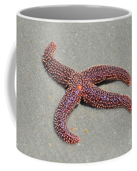 Starfish Coffee Mug featuring the photograph Four Legged Starfish by Kathy Baccari