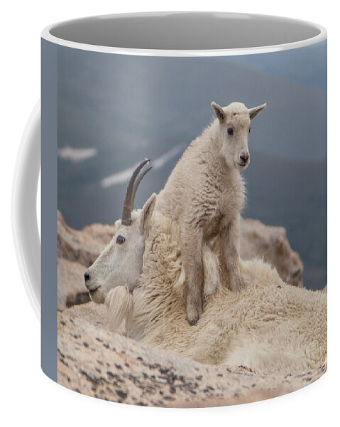 Goat Coffee Mug featuring the photograph Fourteen Thousand One by Kevin Dietrich