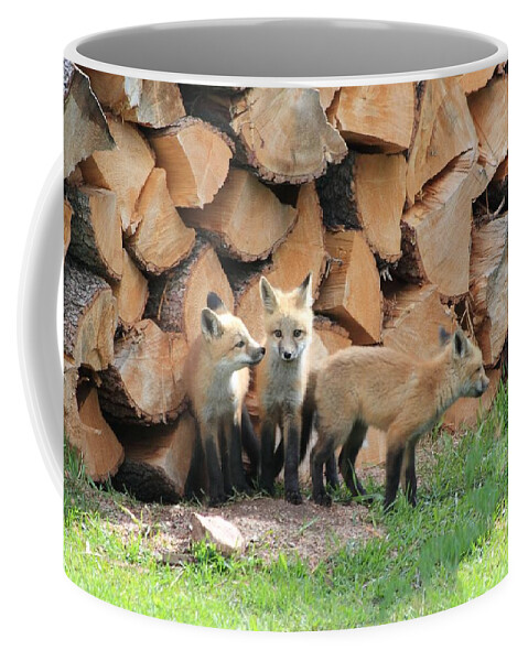 Fox Coffee Mug featuring the photograph Fox Kits by Shane Bechler