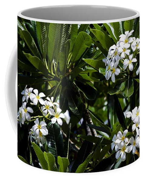 Aloha Coffee Mug featuring the photograph Fragrant Clusters by Christi Kraft