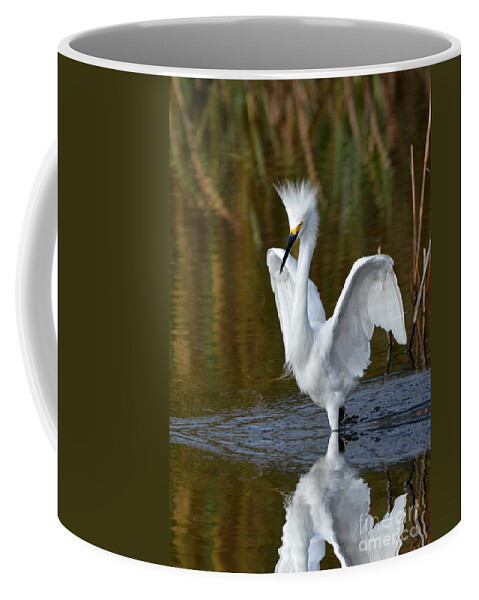 Egrets Coffee Mug featuring the photograph Frazzled by Kathy Baccari