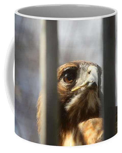 Red Tailed Hawk Coffee Mug featuring the photograph Freedom Isn't Free by Nunweiler Photography