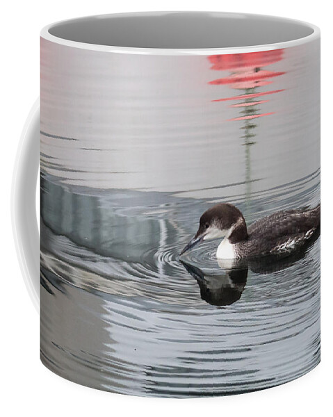Loon Coffee Mug featuring the photograph French Creek Loon by Randy Hall