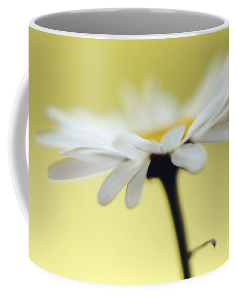 Daisy Coffee Mug featuring the photograph Fresh As A Daisy by Lois Bryan
