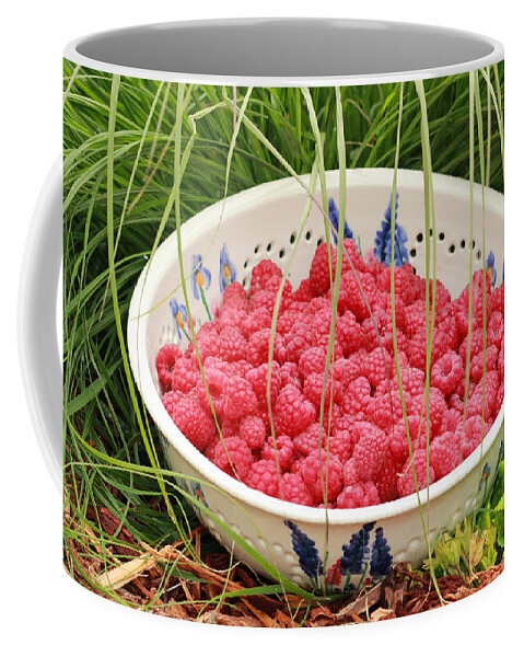 Red Coffee Mug featuring the photograph Fresh-Picked Raspberries by E Faithe Lester
