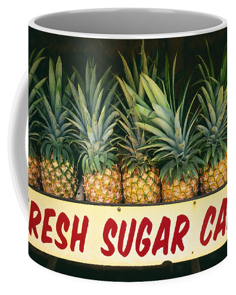 Bin Coffee Mug featuring the photograph Fresh Sugar Cane by Dana Edmunds - Printscapes