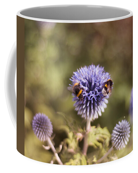 Bees Coffee Mug featuring the photograph Friends of Nature by Miguel Winterpacht