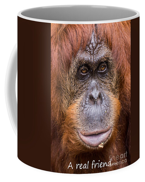 Monkey Coffee Mug featuring the photograph Friendship Card by Edward Fielding