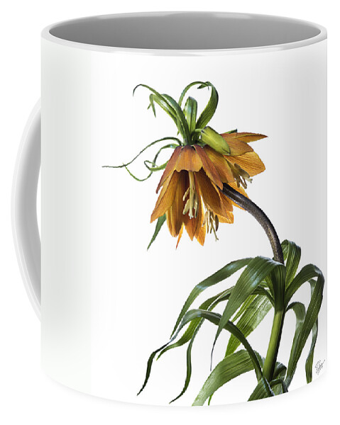 Flower Coffee Mug featuring the photograph Fritillaria Imperialis by Endre Balogh