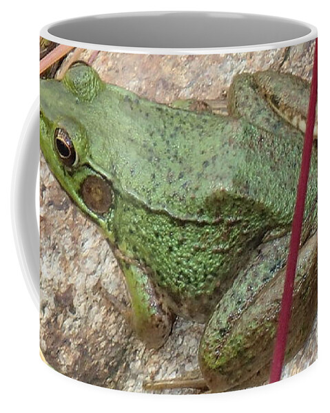 Frog Coffee Mug featuring the photograph Frog by Robert Nickologianis