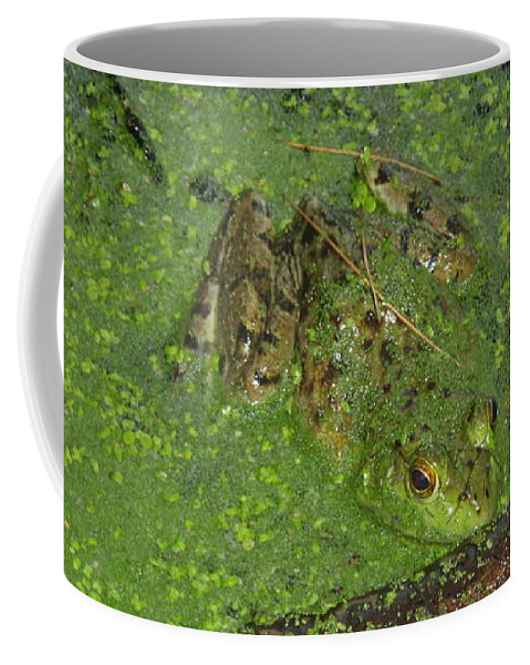  Anura Coffee Mug featuring the photograph Froggie by Robert Nickologianis