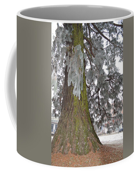 Nature Coffee Mug featuring the photograph Frost on the leaves by Felicia Tica