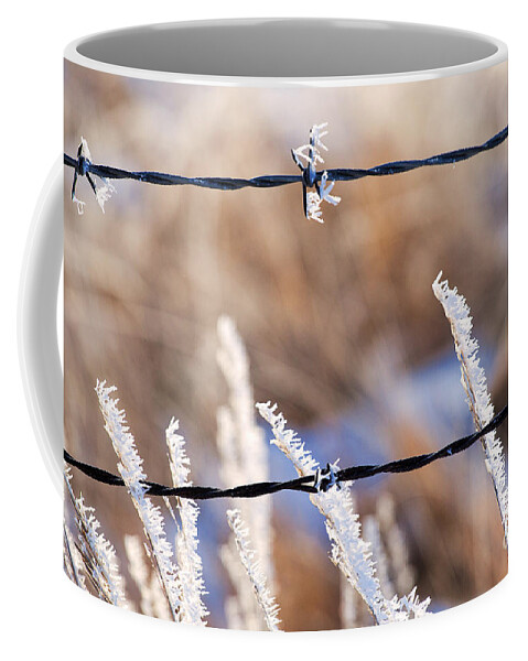Ice Crystals Coffee Mug featuring the photograph Frosted Fence Line by Jim Garrison