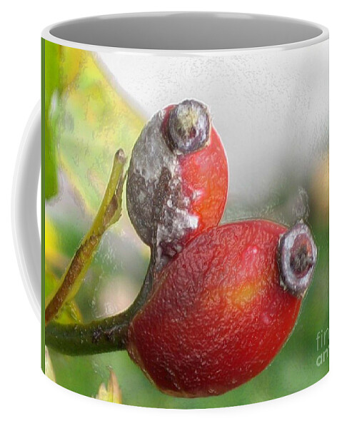 Frost Coffee Mug featuring the photograph Frosted Rosehips by Nina Silver