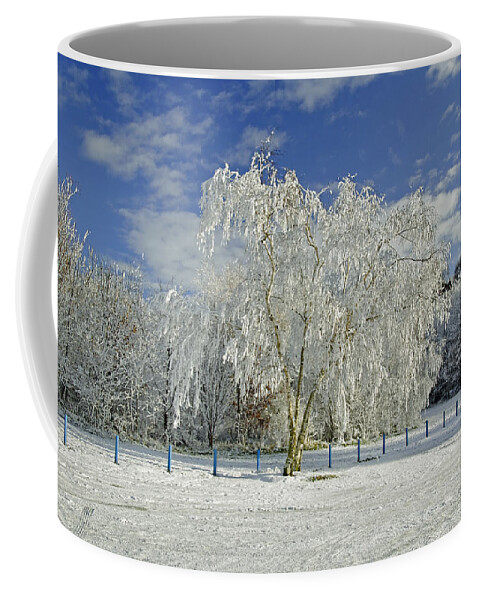 Burton On Trent Coffee Mug featuring the photograph Frosted Trees - Newton Road Park by Rod Johnson