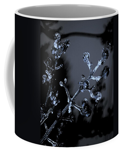 Beachbumpics Coffee Mug featuring the photograph Frosty Buds by Billy Beck