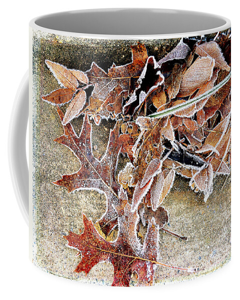 Frozen Coffee Mug featuring the photograph Frosty Morn by Michelle Ayn Potter