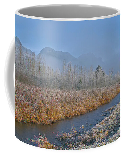 Frost Coffee Mug featuring the photograph Frosty Morning at Pitt Polder by Sharon Talson