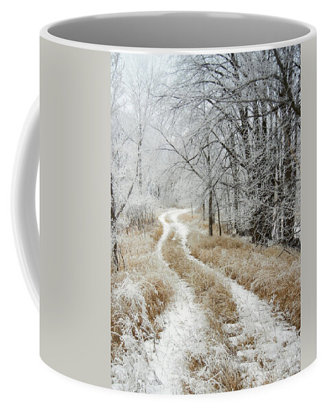 Landscape Coffee Mug featuring the photograph Frosty Trail by Penny Meyers