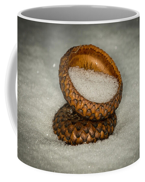 Nature Photograph Coffee Mug featuring the photograph Frozen Acorn Cupule by Paul Freidlund