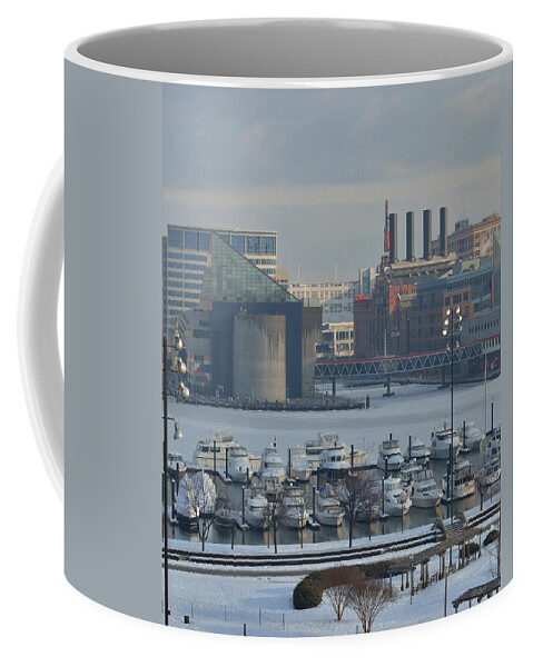 Beach Bum Pics Coffee Mug featuring the photograph Frozen Icons by Billy Beck