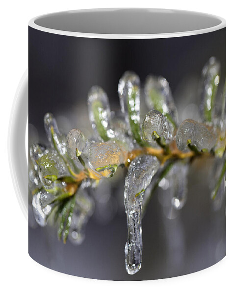 Yew Coffee Mug featuring the photograph Frozen Yew by Eunice Gibb