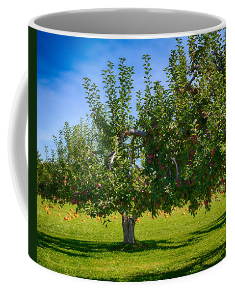 Fred Larson Coffee Mug featuring the photograph Fruits and Vegetables by Fred Larson