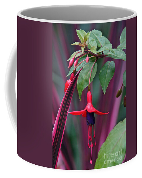 Fuchsia Coffee Mug featuring the photograph Fuchsia Delight by Byron Varvarigos
