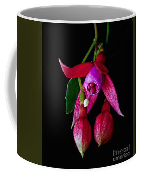 Fuchsia Coffee Mug featuring the photograph Fuchsia by Shirley Mangini