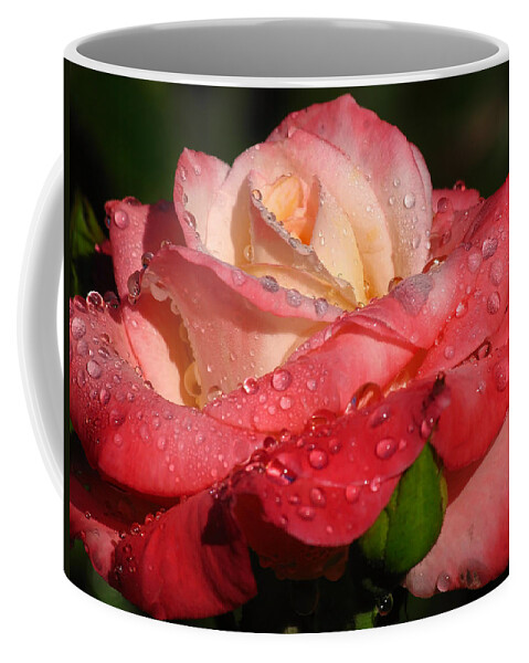 Rose Coffee Mug featuring the photograph Full Bloom by Juergen Roth