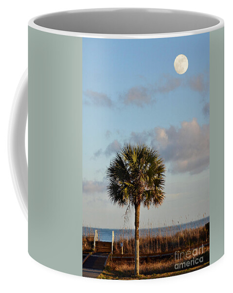 Scenic Coffee Mug featuring the photograph Full Moon At Myrtle Beach State Park by Kathy Baccari