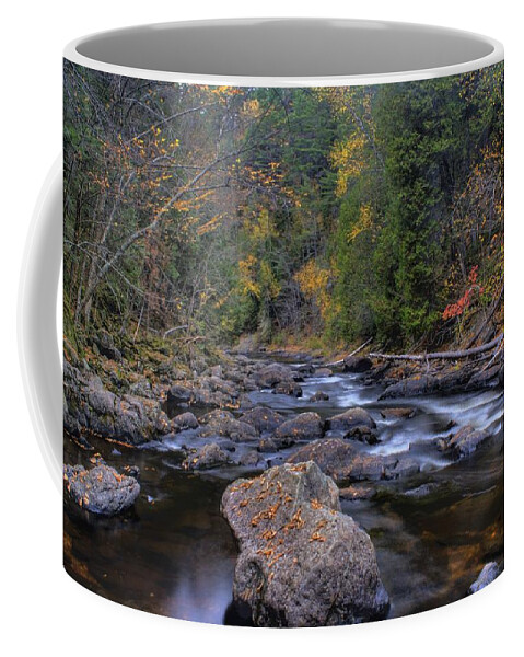 Hdr Coffee Mug featuring the photograph Full of Moxie by Greg DeBeck