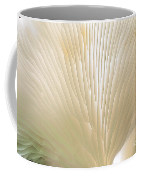 Ridgeway Coffee Mug featuring the photograph Fungus by Steven Ralser