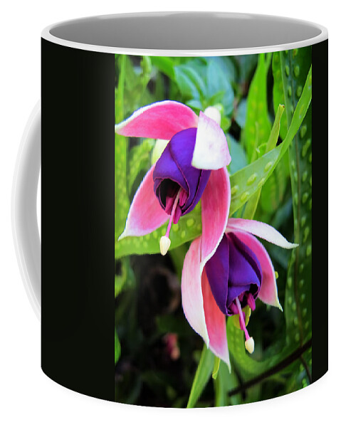 Purple Coffee Mug featuring the photograph Fuschia 4 by Dawn Eshelman