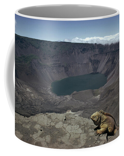 Feb0514 Coffee Mug featuring the photograph Galapagos Land Iguana Overlooking by Tui De Roy