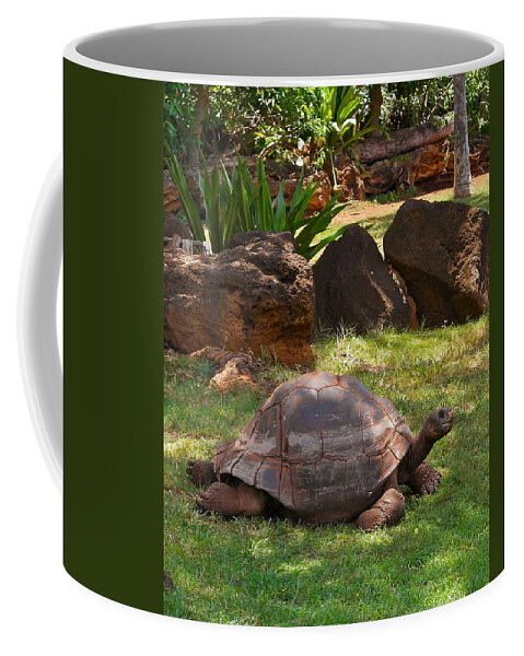 Galapagos Turtle Coffee Mug featuring the photograph Galapagos Turtle at Honolulu Zoo by Michele Myers