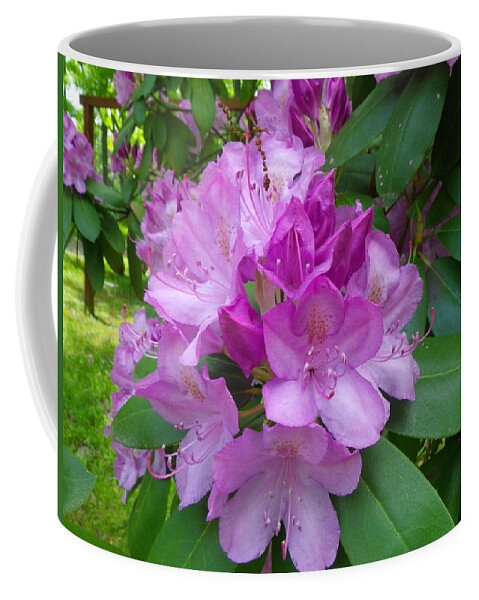 Pink Coffee Mug featuring the photograph Garden Beauty by Anna Ruzsan