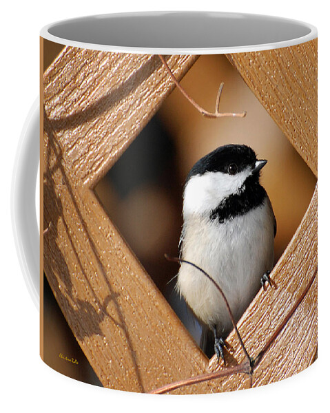 Bird Coffee Mug featuring the photograph Garden Chickadee by Christina Rollo