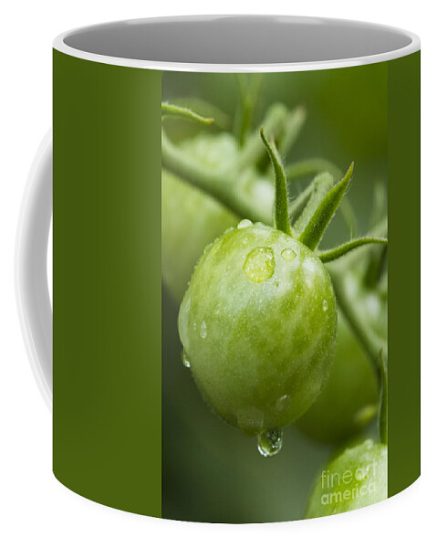 Green Coffee Mug featuring the photograph Garden Fresh by Carrie Cranwill
