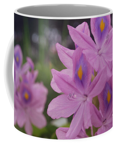 Tropical Garden Coffee Mug featuring the photograph Garden is Watching by Miguel Winterpacht